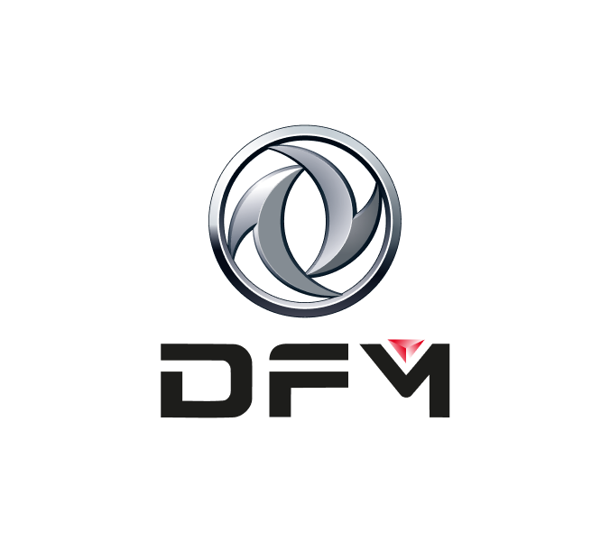 DFM